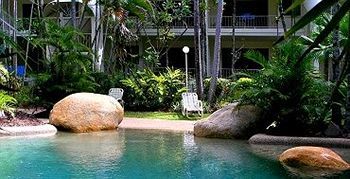 Melaleuca Palm Cove