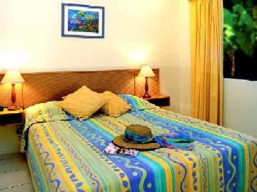 Melaleuca 4*