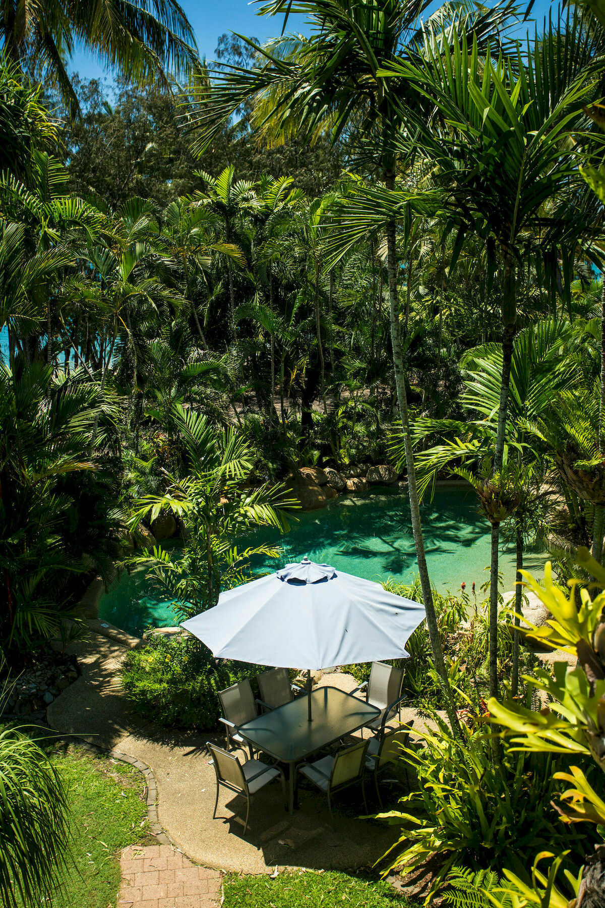 Melaleuca Palm Cove