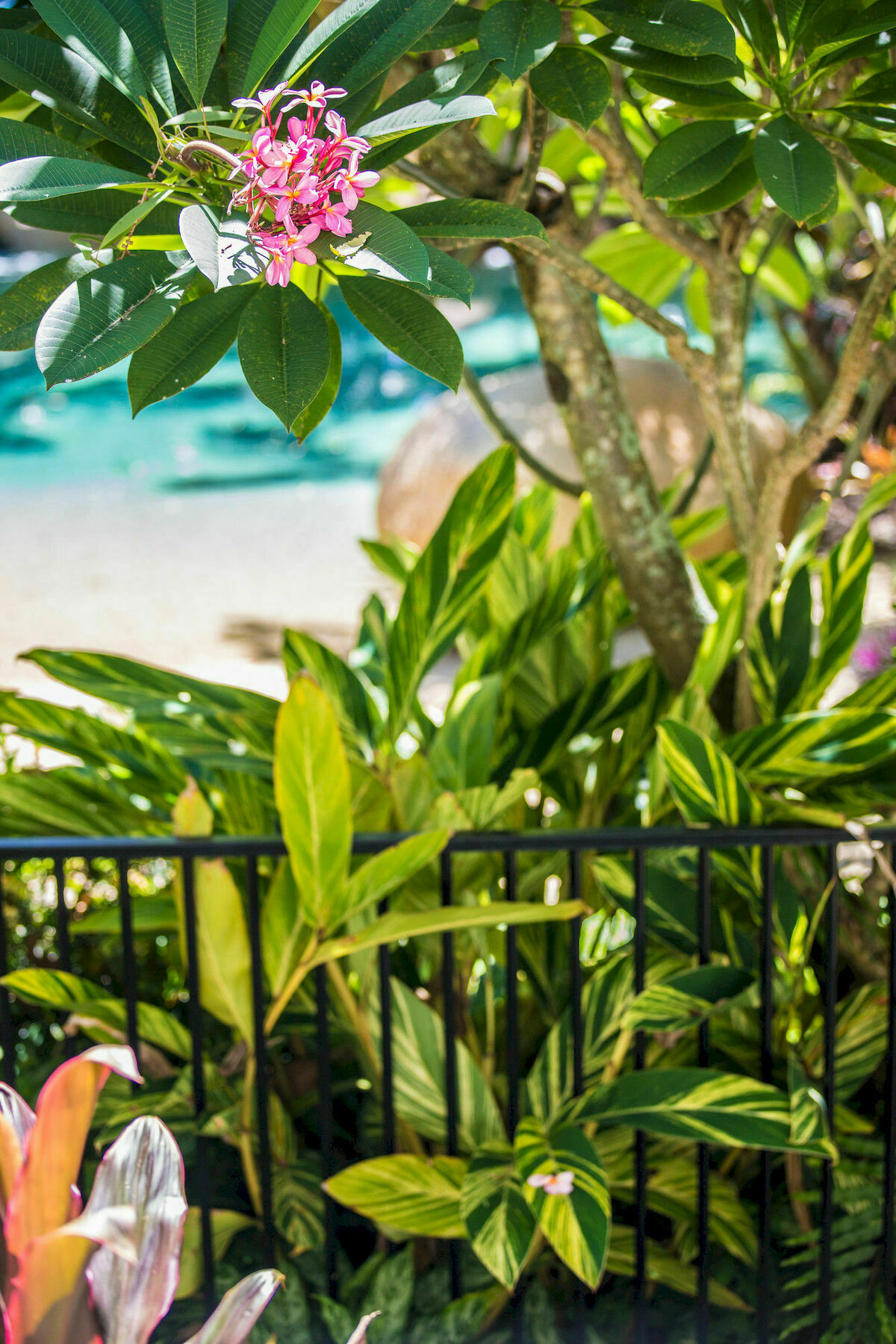 Melaleuca 4* Palm Cove
